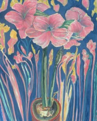 Amaryllis